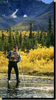 Salmon Fishing Alaska