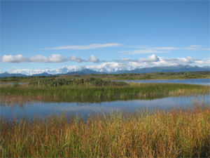 tsiu river