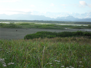 tsiu river